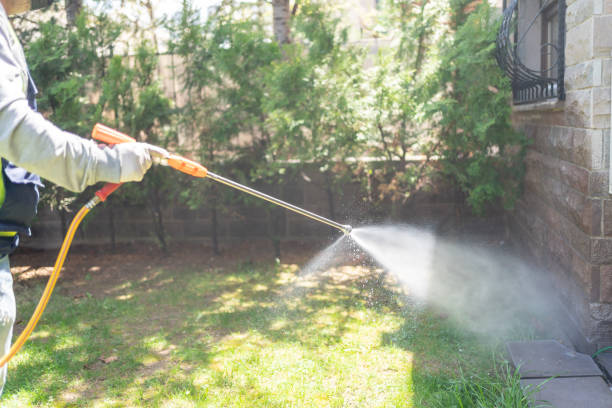 Best Wasp Removal Services  in Kingston, NY